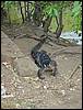 DSC00555.JPG