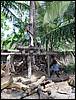 DSC00557.JPG