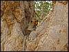 DSC00568.JPG