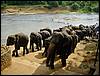 DSC00687.JPG