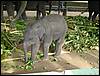 DSC00691.JPG