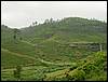 DSC00727.JPG