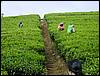 DSC00744.JPG