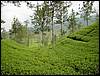 DSC00745.JPG