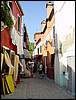 DSC00820.JPG